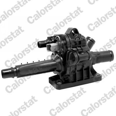 Thermostat, coolant